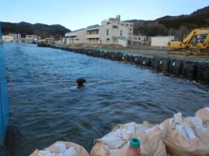 船止めが見えている個所が沈んでおります！船止めが１．５ｍ～２ｍ以上上がっているのが通常です！